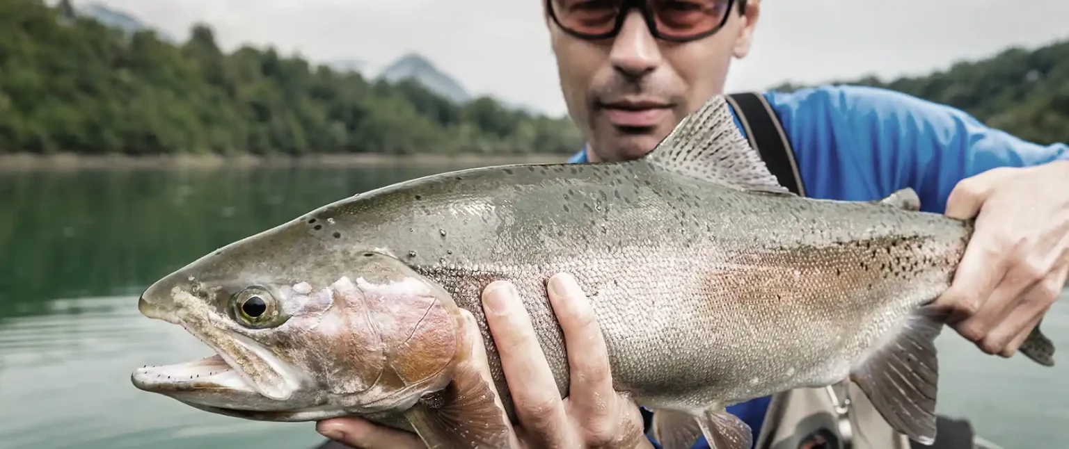 Trout-Series-Doughes-1536x646