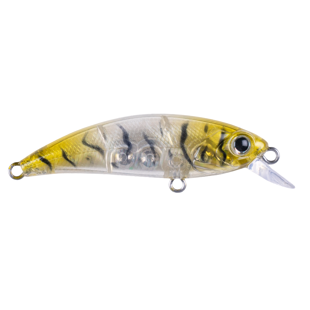 glass-shrimp