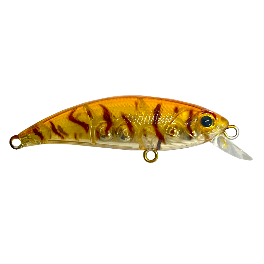 larva-shrimp