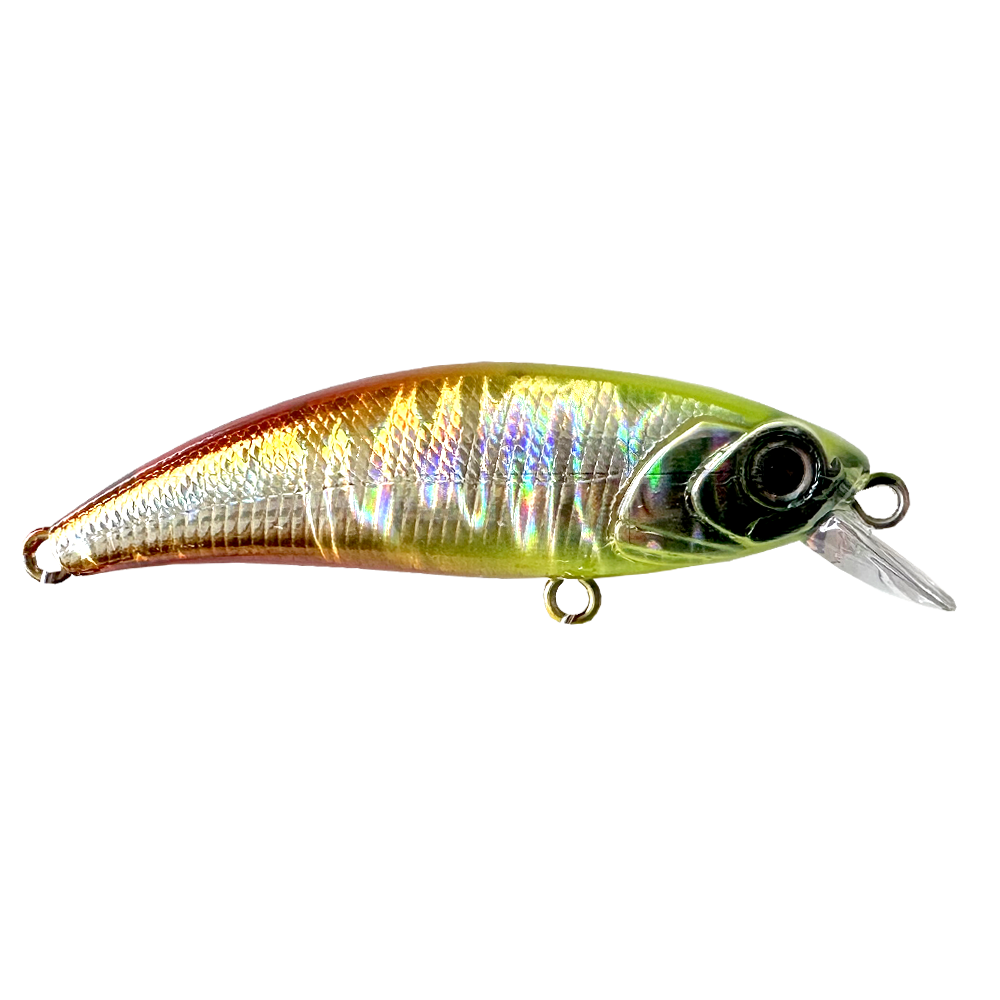 rock-bait
