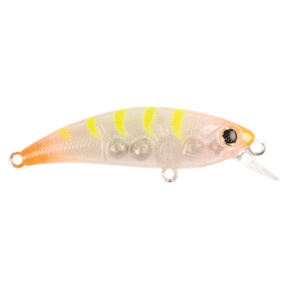 uv-karides
