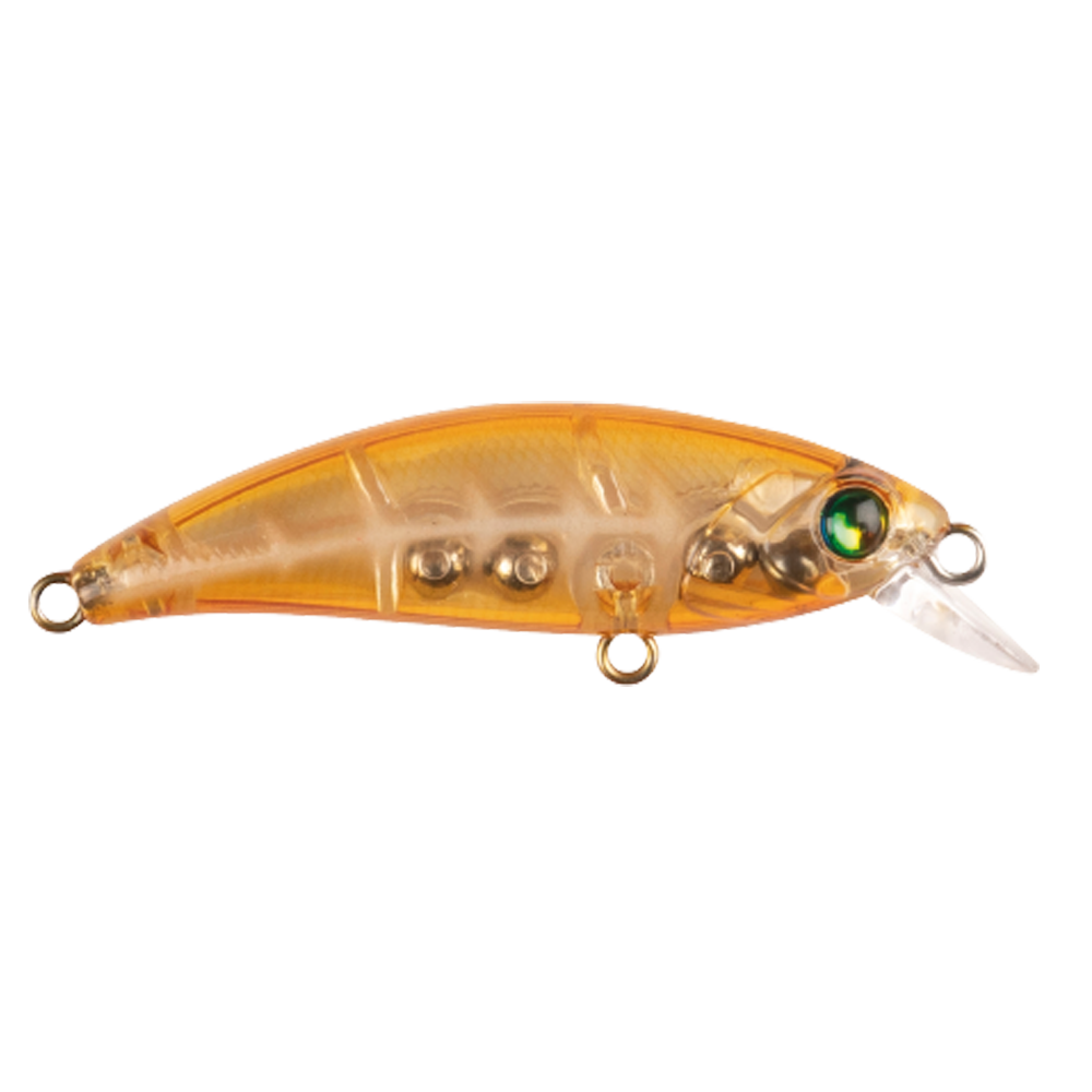 worm