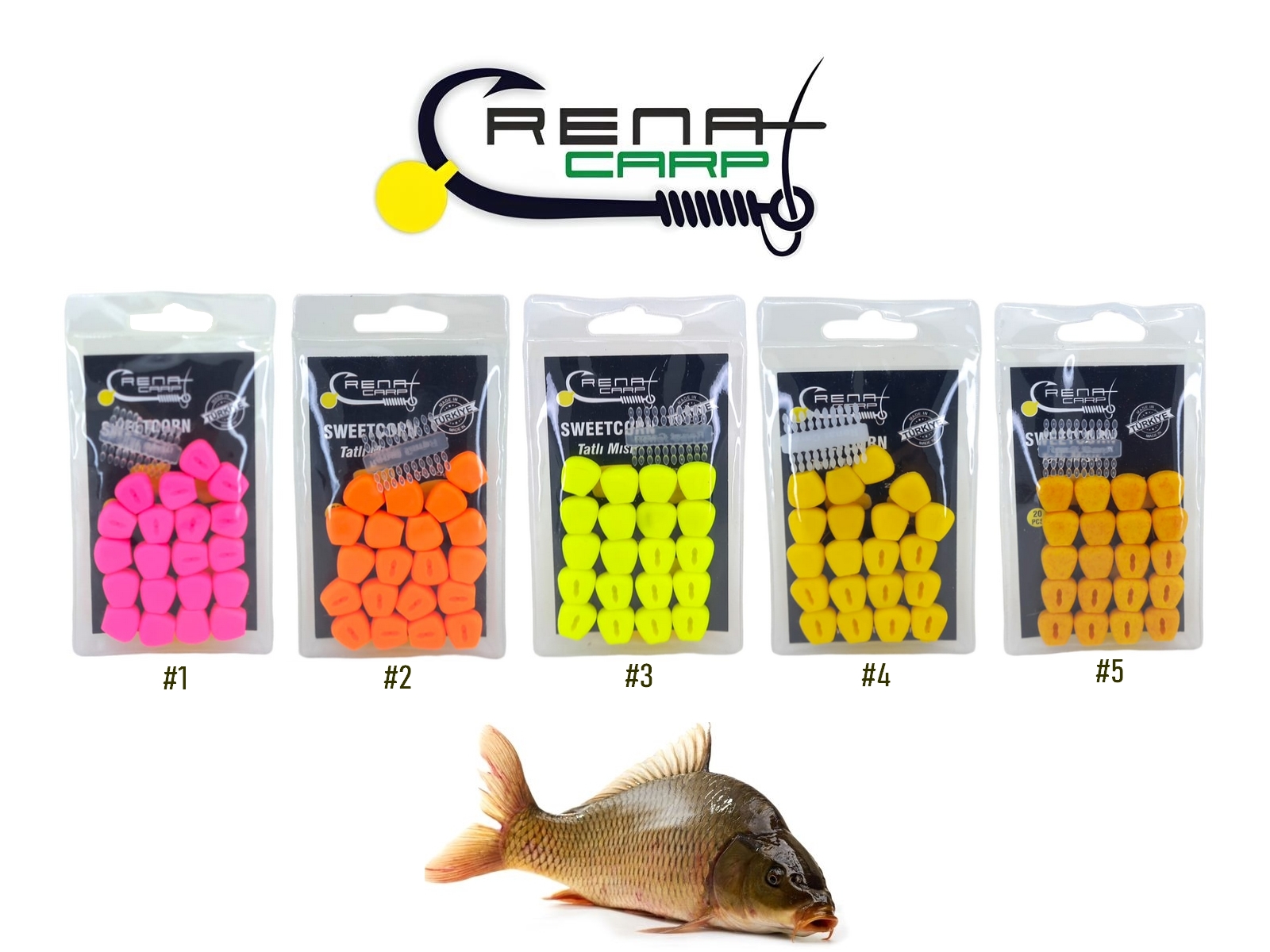 renat-carp-46299_1
