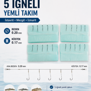 5'Lİ SIRALI ASANSÖR İSTAVRİT-MEZGİT TAKIMI SİYAH İĞNE (PAKETTE 2 ADET TAKIM MEVCUTTUR)