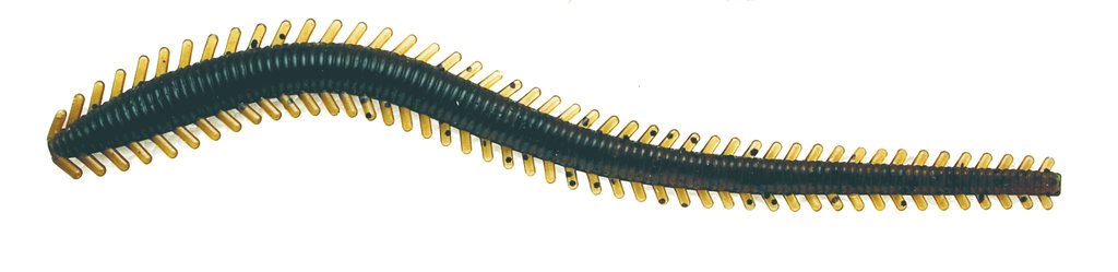 FLADEN_Sandworm-Ragworm_20cm_-_Dark_Oil_-_20-59200-61-1xErKQsca462YX