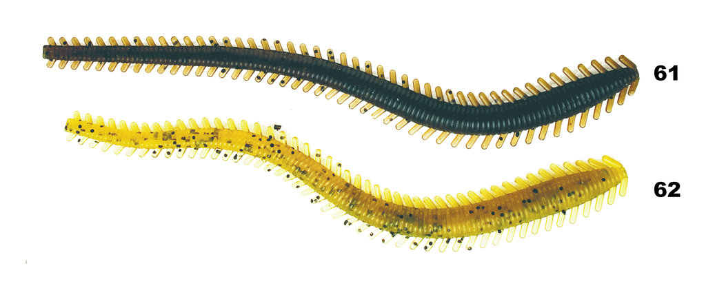 Galeriebild_Sandworm-Ragworm_mit_FarbcodeCbT5XRfXEd6XO
