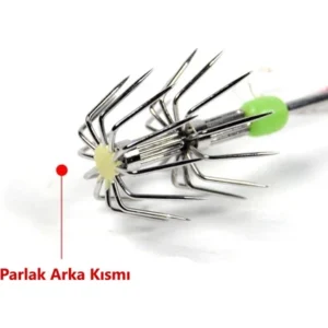 Saplamalı Çiftli Kalamar Zoka 15 cm