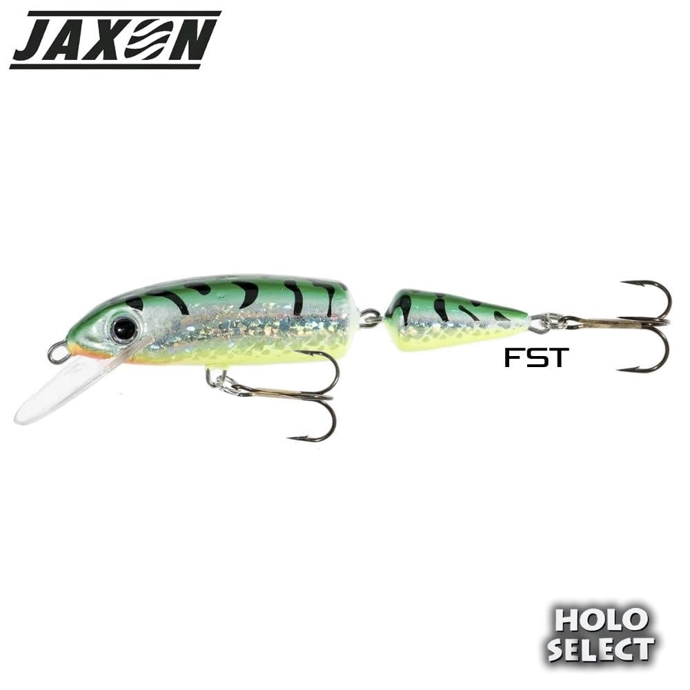 horn-color-fst