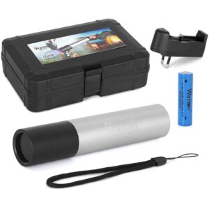 15 Watt 365NM UV Ultraviyole Sahte Para Işığı Güçlü Kontrol Lambası Profesyonel Kullanım WT-305