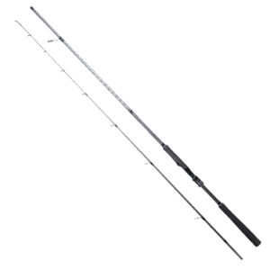 RYUJI ARES X 2.40M 9-45GR, 2P SPIN KARBON KAMIŞ
