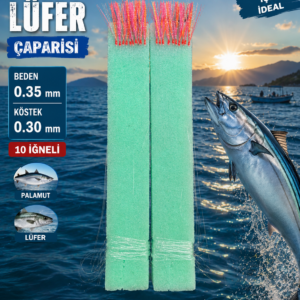Palamut- Lüfer Çaparisi