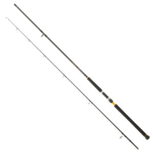 DAIWA LEGALIS SJ CF 3.05M 60-120GR 2P SHORE JIG KAMIŞ